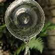 FARRA TRANSPARENT